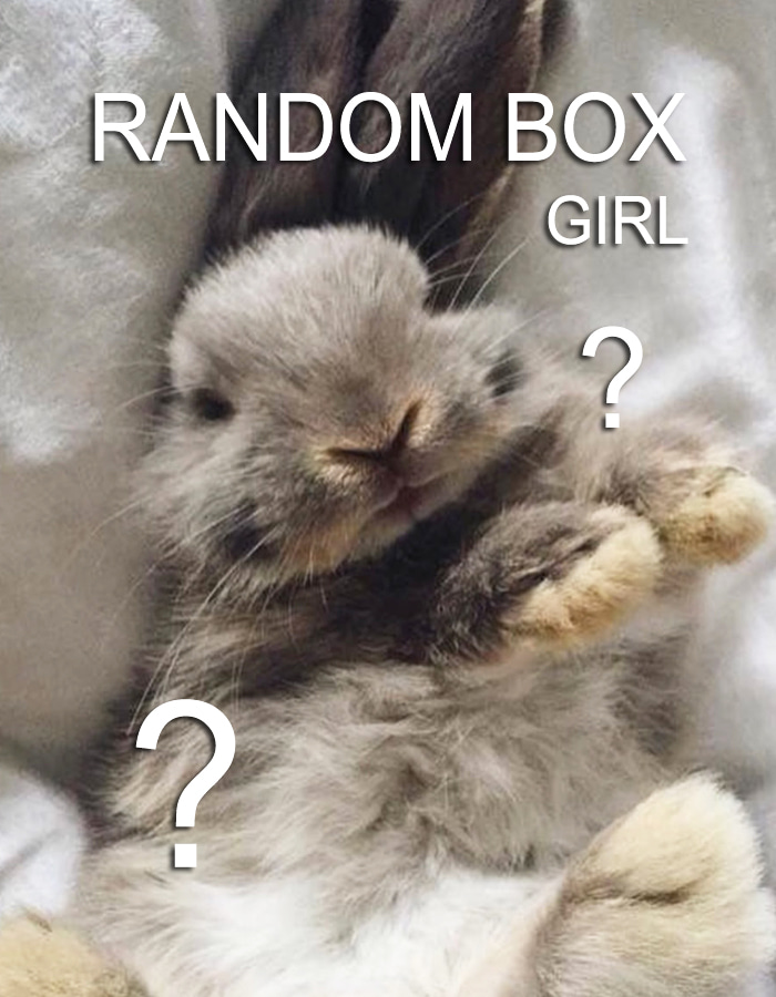 RANDOM BOX 랜덤박스 (GIRL)
